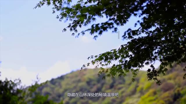 奥日与精灵意志